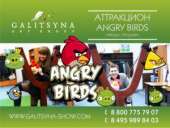 ���������� Angry Birds (������, �������)