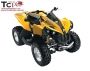 ���������� CAN-AM Renegade 800 H.O. EF - ����������� 1