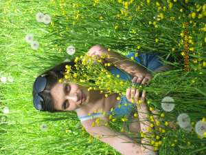 ���������� - ����������� 1