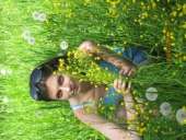 ������� � ����������: ����������