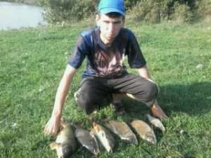 ���������� - ����������� 1