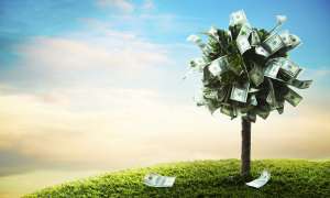 ���������� - ����������� 1