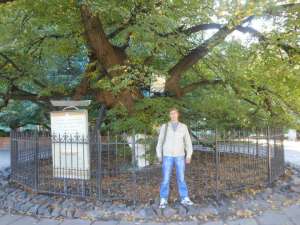 ���������� - ����������� 1