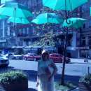 ����������. ��� ���� ��� - ����������