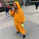 ������� � ����������: ����������