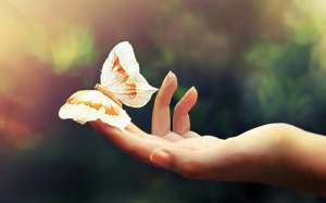 ���������� NeoGen - ����������� 1