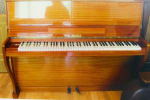 ���������� Wagner. - ����������� 1