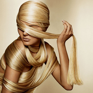 ���������� � "BEAUTY SCHOOL" OL" - ����������� 1