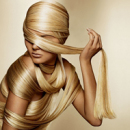 ������� � ����������: ���������� � "BEAUTY SCHOOL" OL"