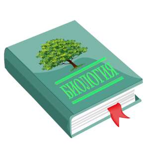 ���������� � ��� �� �������� - ����������� 1