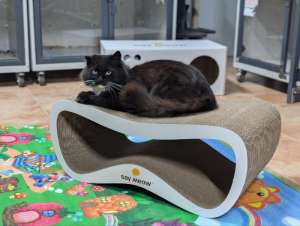 ���������� � ����� ���� � �������, ������� � ����� ��� ������ ���������! - ����������� 1