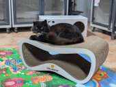 ���������� � ����� ���� � �������, ������� � ����� ��� ������ ���������!. ������ ��� �������� - ������