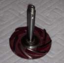 ������� � ����������: ���������� � ����� �������� ������ �������� ������ ( Man D21562356 )