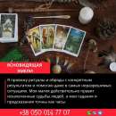 ������� � ����������: ���������� � ������.