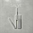 ���������� � ������� ���������� ������ �� �Salve� - ����������� 2