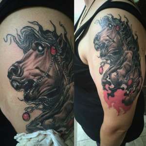 ���������� � �������� ���� � ����� - ����������� 1