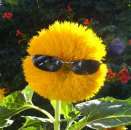 ���������� � ��������� ���������. ����� ��������� - ����������