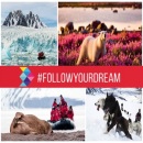 ���������� � ���������� must-have 2017. ����. ������, ���� - ������