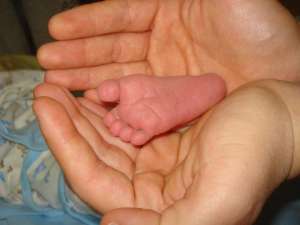 ���������� � �������������� ����������� ��� - ����������� 1