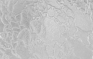 ���������� �� ��� ������� - ����������� 1