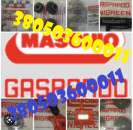 ������� � ����������: ���������� �� ������ GASPARDO � ���������� �� ��������