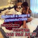 ���������� �� ������ ������� �� 18 ���, �������� ����� ������������. ������ ����� ������� - ������