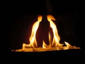 ���������� �� �������� �������� 8025 537 76 91 - ����������� 1