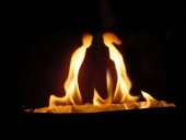 ������� � ����������: ���������� �� �������� �������� 8025 537 76 91