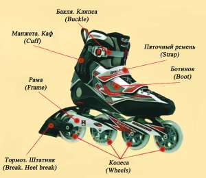 ���������� �� ��������� ������� - ����������� 1