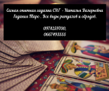 ������� � ����������: ���������� �� �����������. �������� �� ����. ������� ���� ����� ���������.