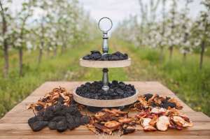 ���������� �� ������������� ����� - ����������� 1