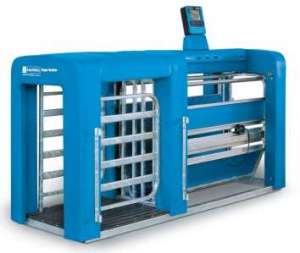 ���������� ��� � ����. ������ ��� ����. �������������� ����������. ������������ ��� ���� � ���. - ����������� 1