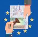 ������� � ����������: ���������� ��� � ������. ��� � ������.