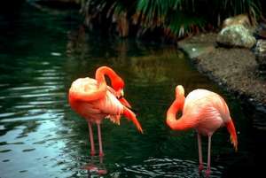 ���������� ��� � ������� ���� �� ������� �� �����, ��������� ������, ���������� ������ - ����������� 1