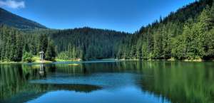 ���������� ��� � ���������� ���� �������������, ������� ��� �� ��������, ���������� �� ����� �� �������� � ������� - ����������� 1