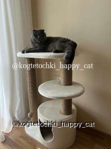 ���������� ��� ����� ������ - ����������� 1