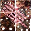 ������� � ����������: ���������� ��� ���������� � ������� ����� ���� ������� ���� ���� � ��������� �������� ��� ���������� ����������� ���������. ���