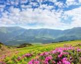 ���������� ��� ���������� �� ����� ������� ���������, ���� ������� 1 ���, ��� ���������� �� ����� - ����������� 2