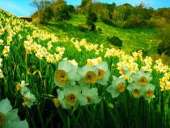 ���������� ��� ���������� �� ����� ������� ���������, ���� ������� 1 ���, ��� ���������� �� ����� - ����������� 3