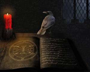 ���������� ��� ������������������ �� ������� ����������� Sellberi - ����������� 1