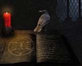 ������� � ����������: ���������� ��� ������������������ �� ������� ����������� Sellberi