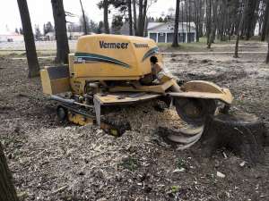 ���������� ���� � ������ - ����������� 1