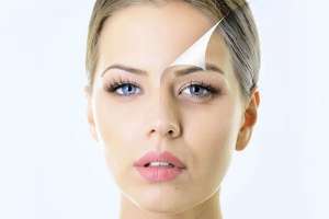 ���������� ���� � ������� ���������� �������� ������������ �������� ���� - ����������� 1