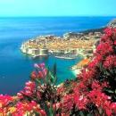 ������� � ����������: ���������� ���� � �������� �� �����, �������� ���� �������, �������� ��������