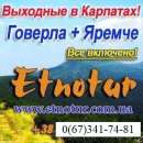 ���������� ���� �� ������� 2020. ����� � ��������. ������, ���� - ������