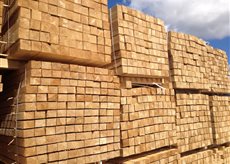 ���������� ����, ����� 2-3 ���� - ����������� 1