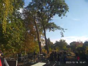 ���������� ���� ����� � ���. - ����������� 1