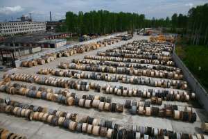 ���������� ����, ������-ls, �����, ��-��, ����� - ����������� 1