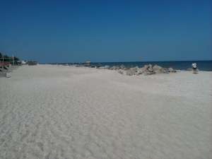 ���������� ���� �������� �/� "�������" - ����������� 1