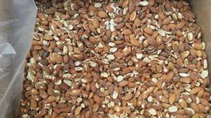 ���������� ���� ���������� - ����������� 1